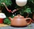 Авторский Исинский чайник  Дом Чая #540