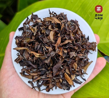 Дикий Сладкий Белый чай с 500-летних Тайских деревьев SHQ, 2023