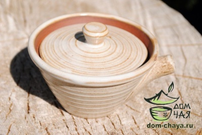 Чайник-Гайвань обливная глазурь (ручной работы) #2